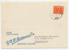 Firma briefkaart Heerde 1954 - Rozen / Planten