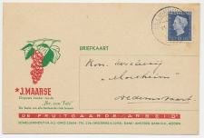 Firma Briefkaart Schellinkhout 1950 - Rode bessen / Fruit