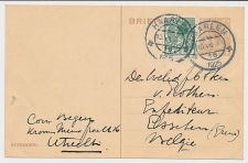 Briefkaart G. 198 / Bijfrankering Haarlem - Belgie 1925