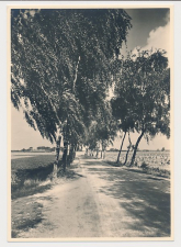 Briefkaart G. 287 - Complete serie Landschappen