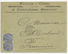 Firma envelop Maastricht 1894 - Fruit
