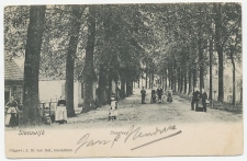 Prentbriefkaart Sleeuwijk - Straatweg1904